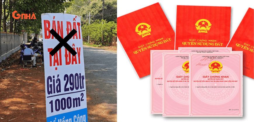 Thiết kế chưa có tên (11).png