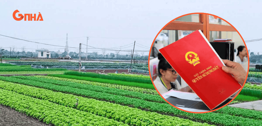 Thiết kế chưa có tên.png