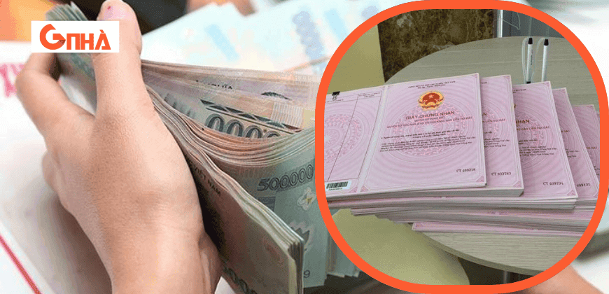 Thiết kế chưa có tên.png