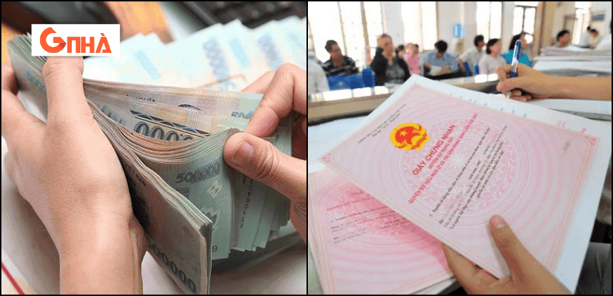 Thiết kế chưa có tên.png