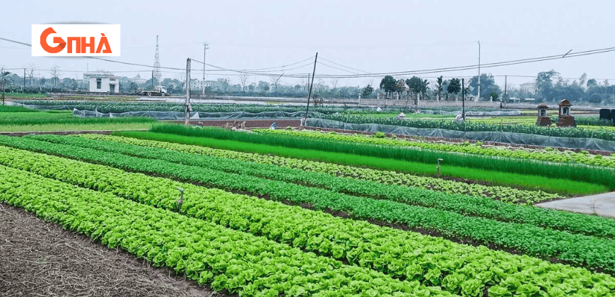 Thiết kế chưa có tên.png