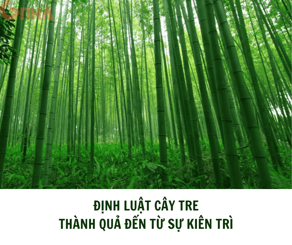 a4ca2c20-7f7f-11ed-8db3-0242ac130002 (1).png