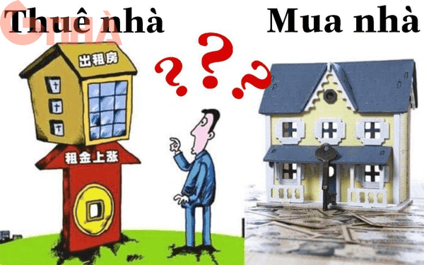 c8817d85-960a-11ed-8db3-0242ac130002.webp