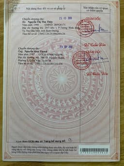 thumb-64de7133-d159-11ef-8be4-0242ac130002