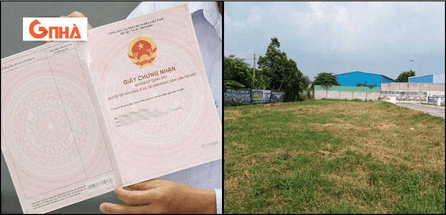Thiết kế chưa có tên (1).png